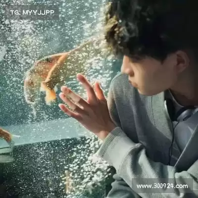 穆珣娣